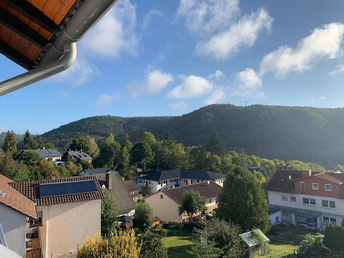 Ferienwohnung Sonnenblick Edersee Luaran gambar